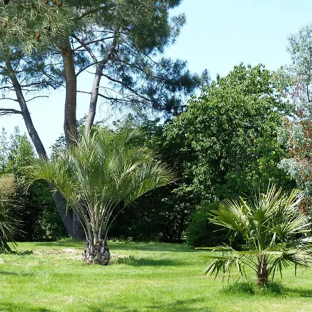 Les Terrasses Des Mimosas Panzió
