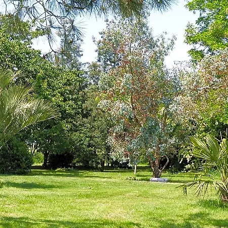 Les Terrasses Des Mimosas Caumont-sur-Garonne