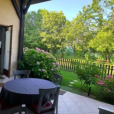 Les Terrasses Des Mimosas 3*