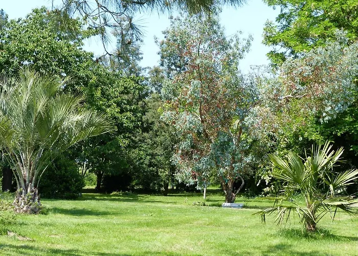 Les Terrasses Des Mimosas Nocleg ze śniadaniem Caumont-sur-Garonne