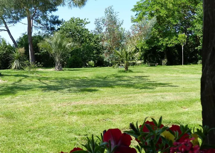 Nocleg ze śniadaniem Les Terrasses Des Mimosas